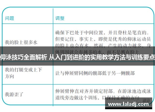 仰泳技巧全面解析 从入门到进阶的实用教学方法与训练要点