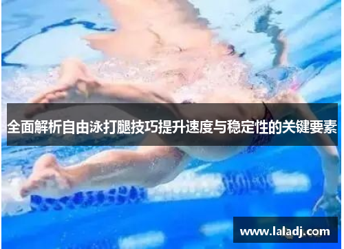 全面解析自由泳打腿技巧提升速度与稳定性的关键要素