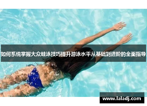如何系统掌握大众蛙泳技巧提升游泳水平从基础到进阶的全面指导