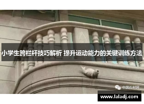 小学生跨栏杆技巧解析 提升运动能力的关键训练方法
