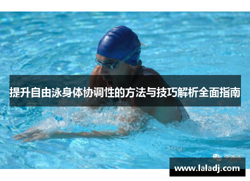 提升自由泳身体协调性的方法与技巧解析全面指南