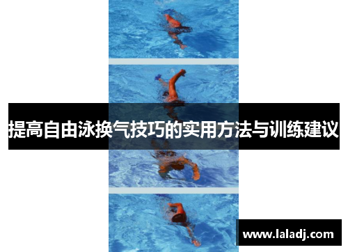 提高自由泳换气技巧的实用方法与训练建议