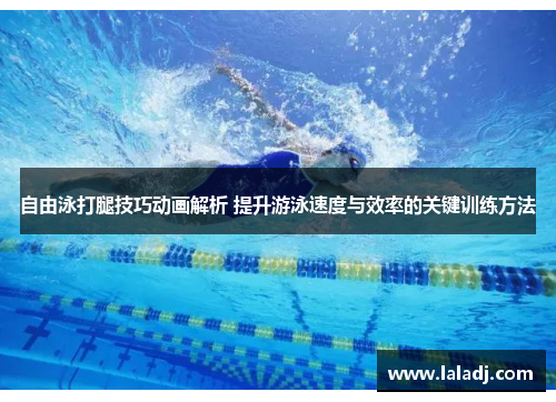 自由泳打腿技巧动画解析 提升游泳速度与效率的关键训练方法