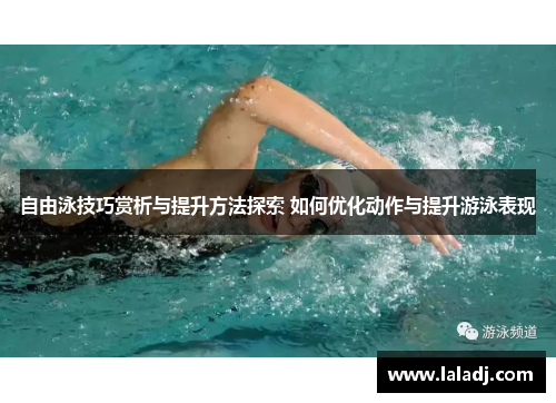 自由泳技巧赏析与提升方法探索 如何优化动作与提升游泳表现
